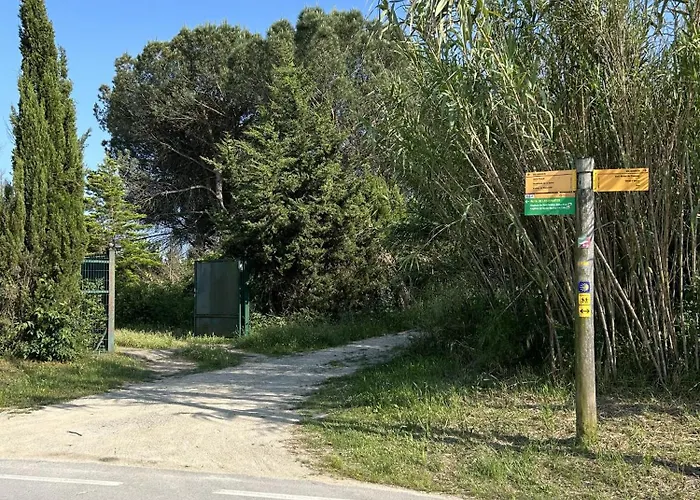 Isard 4 Bis Junto A La Playa Lägenhet *