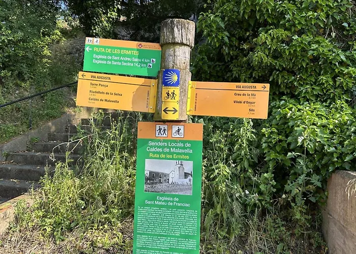 Isard 4 Bis Junto A La Playa