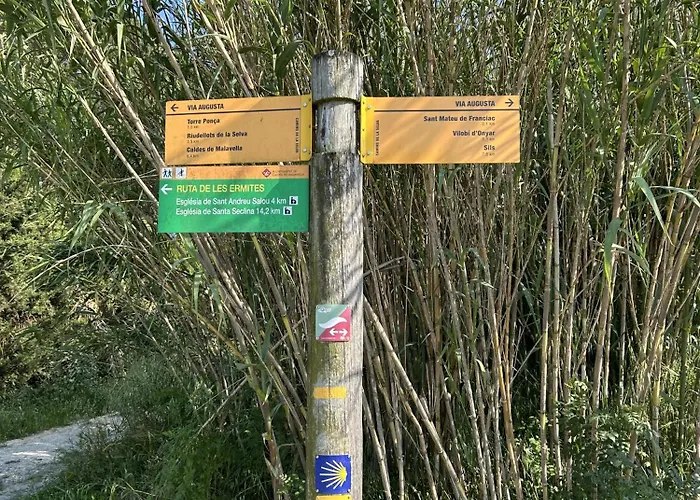 Isard 4 Bis Junto A La Playa Lägenhet Girona